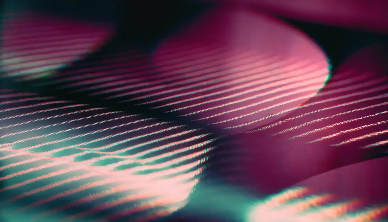 PornPics, visuel d'ambiance